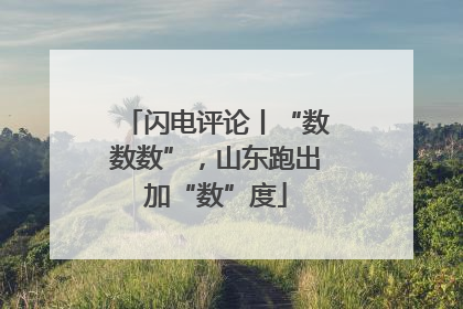闪电评论丨“数数数”，山东跑出加“数”度
