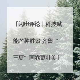 闪电评论｜科技赋能芒种胜景 齐鲁“三夏”画卷更壮美