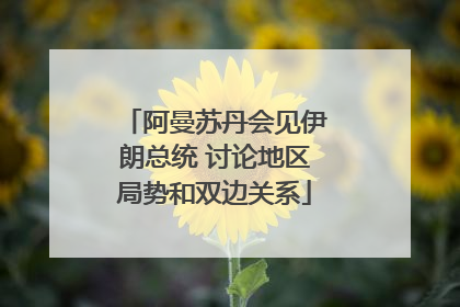 阿曼苏丹会见伊朗总统 讨论地区局势和双边关系