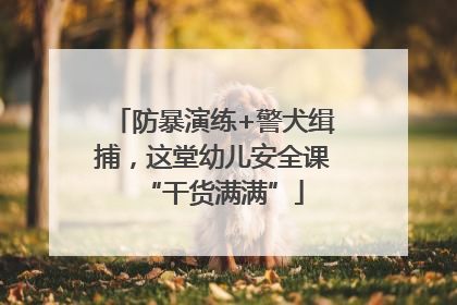 防暴演练+警犬缉捕，这堂幼儿安全课“干货满满”