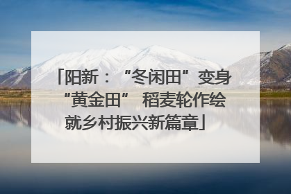 阳新：“冬闲田”变身“黄金田” 稻麦轮作绘就乡村振兴新篇章