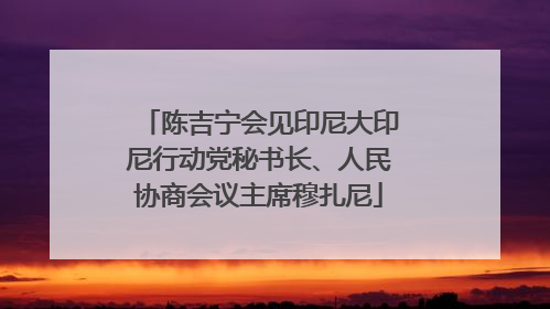 陈吉宁会见印尼大印尼行动党秘书长、人民协商会议主席穆扎尼