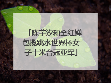 陈芋汐和全红婵包揽跳水世界杯女子十米台冠亚军