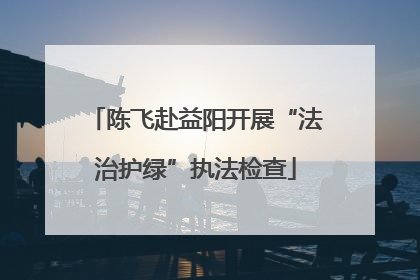 陈飞赴益阳开展“法治护绿”执法检查