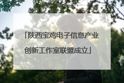 陕西宝鸡电子信息产业创新工作室联盟成立
