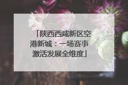 陕西西咸新区空港新城：一场赛事激活发展全维度