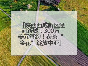 陕西西咸新区泾河新城：300万美元签约！茯茶“金花”绽放中亚