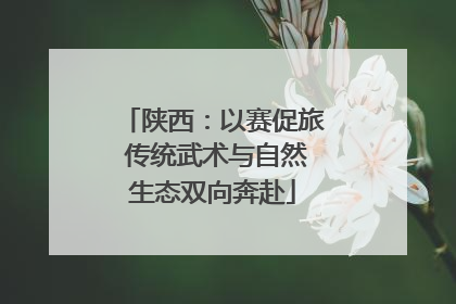 陕西：以赛促旅 传统武术与自然生态双向奔赴