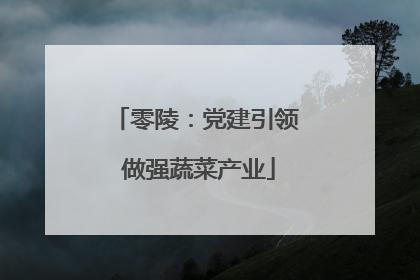 零陵：党建引领 做强蔬菜产业