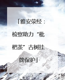 雅安荥经：检察助力“枇杷茶”古树挂牌保护