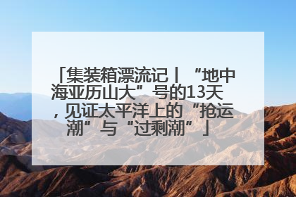 集装箱漂流记丨“地中海亚历山大”号的13天，见证太平洋上的“抢运潮”与“过剩潮”