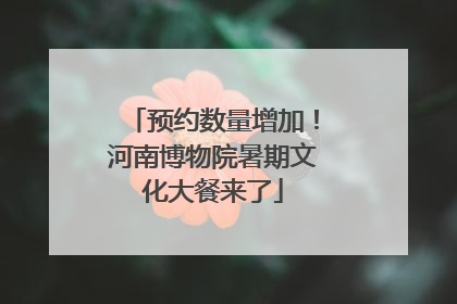预约数量增加！河南博物院暑期文化大餐来了