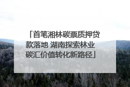 首笔湘林碳票质押贷款落地 湖南探索林业碳汇价值转化新路径