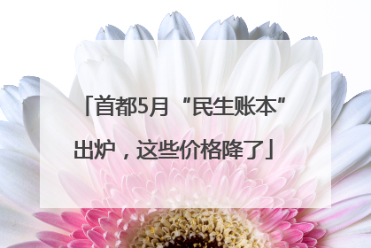 首都5月“民生账本”出炉，这些价格降了