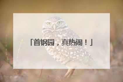 首钢园，真热闹！