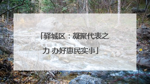 驿城区：凝聚代表之力 办好惠民实事