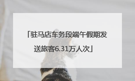 驻马店车务段端午假期发送旅客6.31万人次