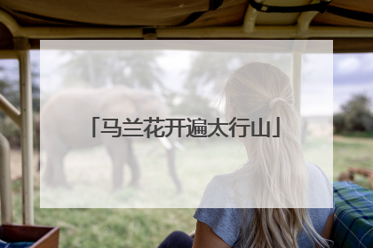 马兰花开遍太行山