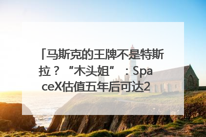 马斯克的王牌不是特斯拉？“木头姐”：SpaceX估值五年后可达2.5万亿美元！