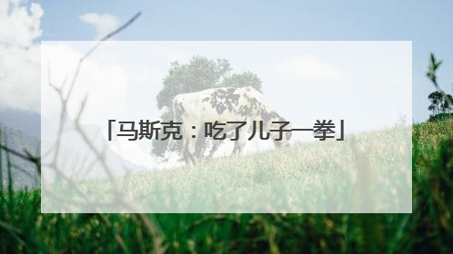 马斯克：吃了儿子一拳