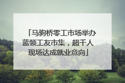马驹桥零工市场举办蓝领工友市集，超千人现场达成就业意向