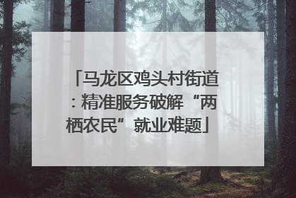 马龙区鸡头村街道：精准服务破解“两栖农民”就业难题