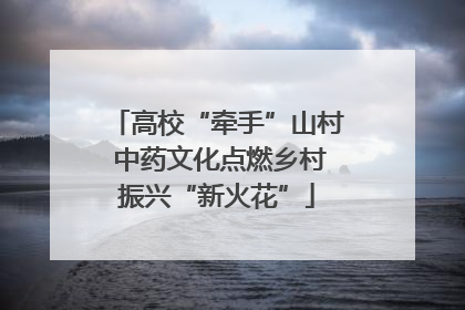 高校“牵手”山村 中药文化点燃乡村振兴“新火花”