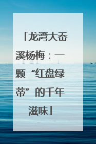 龙湾大岙溪杨梅：一颗“红盘绿蒂”的千年滋味