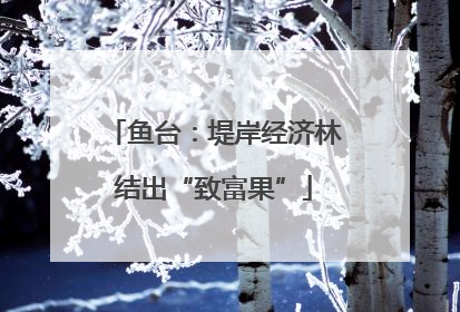 鱼台：堤岸经济林结出“致富果”
