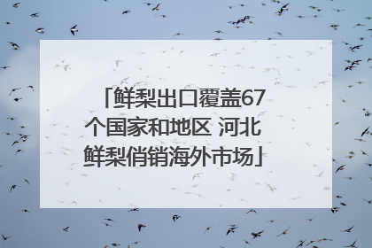 鲜梨出口覆盖67个国家和地区 河北鲜梨俏销海外市场