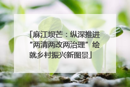 麻江坝芒：纵深推进“两清两改两治理”绘就乡村振兴新图景