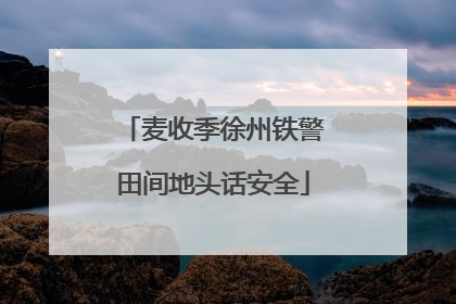 麦收季徐州铁警田间地头话安全