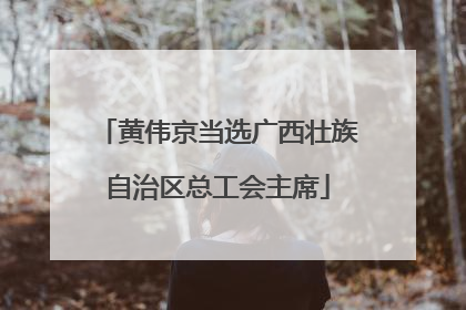 黄伟京当选广西壮族自治区总工会主席