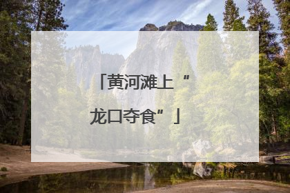 黄河滩上“龙口夺食”