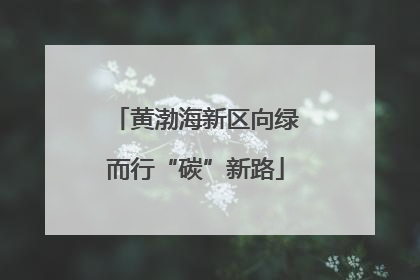 黄渤海新区向绿而行“碳”新路