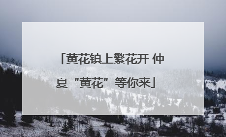 黄花镇上繁花开 仲夏“黄花”等你来