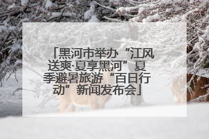 黑河市举办“江风送爽·夏享黑河”夏季避暑旅游“百日行动”新闻发布会