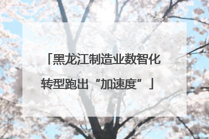 黑龙江制造业数智化转型跑出“加速度”