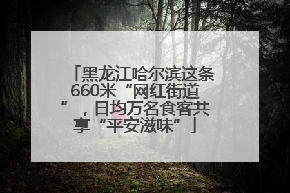 黑龙江哈尔滨这条660米“网红街道”，日均万名食客共享“平安滋味”