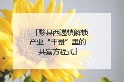 黟县西递镇解锁产业“丰景”里的共富方程式