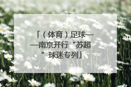 （体育）足球——南京开行“苏超”球迷专列
