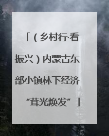 （乡村行·看振兴）内蒙古东部小镇林下经济“茸光焕发”