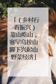 （乡村行·看振兴）靠山吃山，赛罕乌拉山脚下兴起山野菜经济
