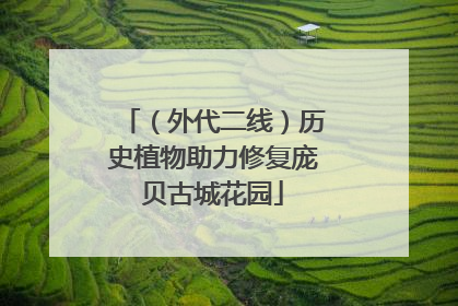 （外代二线）历史植物助力修复庞贝古城花园