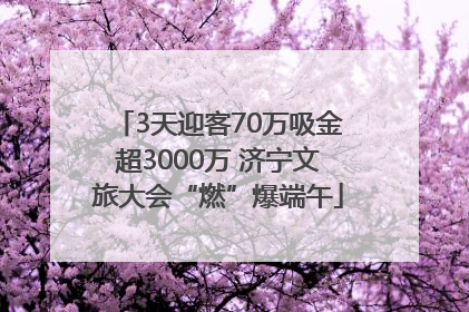 3天迎客70万吸金超3000万 济宁文旅大会“燃”爆端午