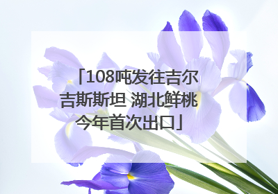 108吨发往吉尔吉斯斯坦 湖北鲜桃今年首次出口