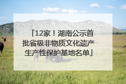 12家！湖南公示首批省级非物质文化遗产生产性保护基地名单