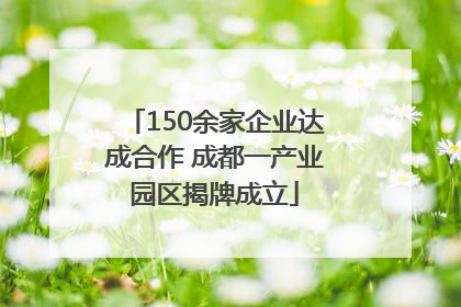 150余家企业达成合作 成都一产业园区揭牌成立