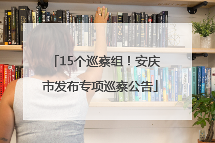 15个巡察组！安庆市发布专项巡察公告