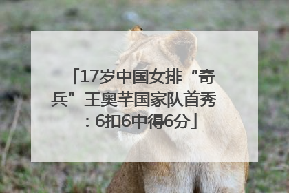 17岁中国女排“奇兵”王奥芊国家队首秀：6扣6中得6分
